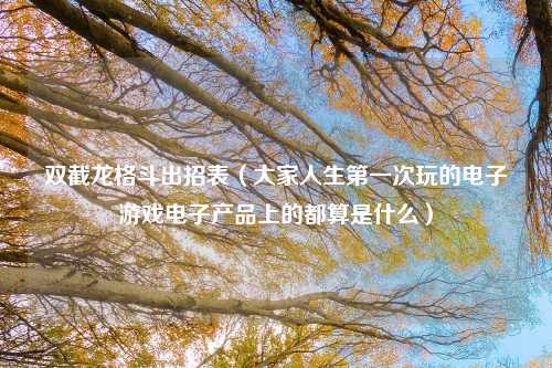 双截龙格斗出招表（大家人生第一次玩的电子游戏电子产品上的都算是什么）