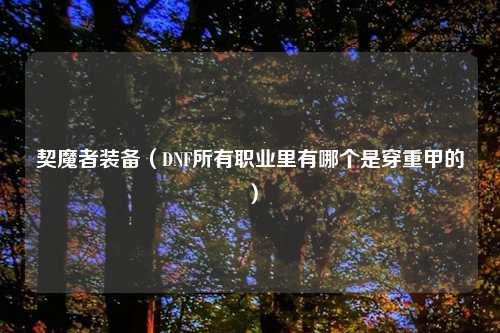 契魔者装备（DNF所有职业里有哪个是穿重甲的）