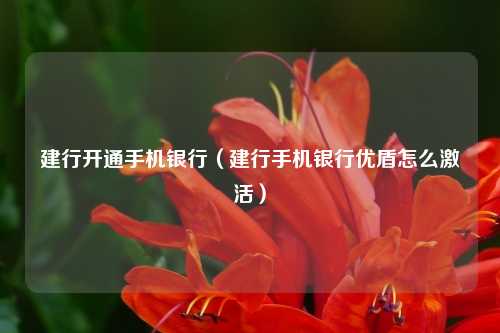 建行开通手机银行（建行手机银行优盾怎么激活）