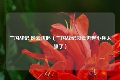 三国战记 风云再起（三国战纪风云再起小兵太强了）