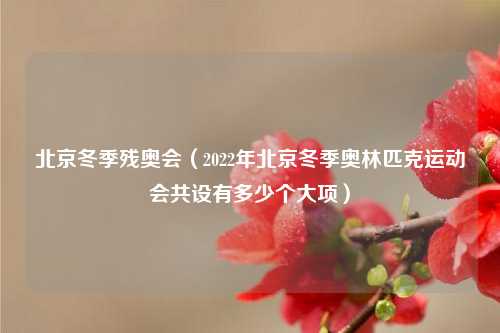 北京冬季残奥会（2022年北京冬季奥林匹克运动会共设有多少个大项）