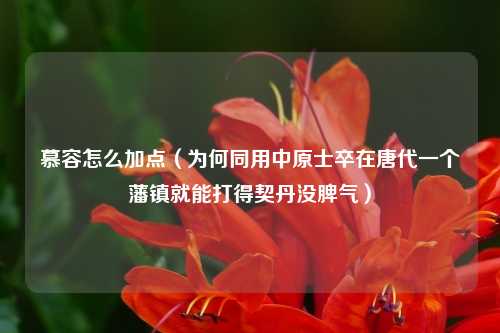 慕容怎么加点（为何同用中原士卒在唐代一个藩镇就能打得契丹没脾气）
