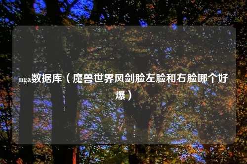 nga数据库（魔兽世界风剑脸左脸和右脸哪个好爆）