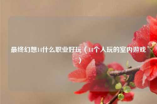 最终幻想14什么职业好玩（14个人玩的室内游戏）