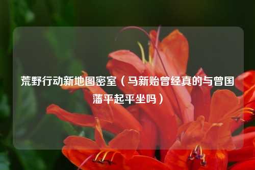 荒野行动新地图密室（马新贻曾经真的与曾国藩平起平坐吗）