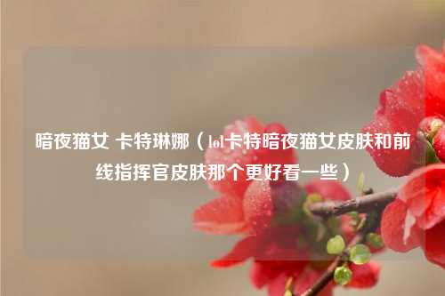 暗夜猫女 卡特琳娜（lol卡特暗夜猫女皮肤和前线指挥官皮肤那个更好看一些）