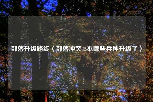 部落升级路线（部落冲突15本哪些兵种升级了）
