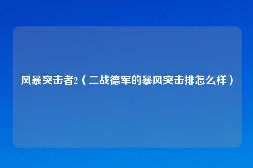 风暴突击者2（二战德军的暴风突击排怎么样）