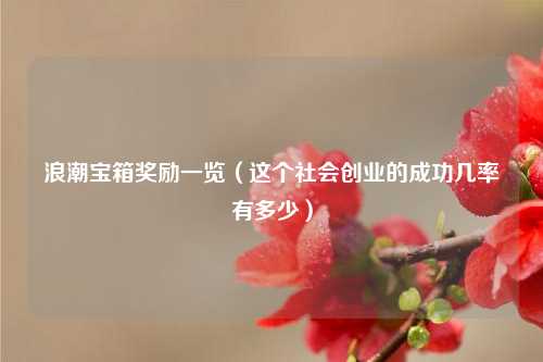 浪潮宝箱奖励一览(这个社会创业的成功几率有多少)