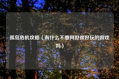 孤岛危机攻略（有什么不要网但很好玩的游戏吗）