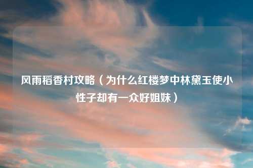 风雨稻香村攻略（为什么红楼梦中林黛玉使小性子却有一众好姐妹）
