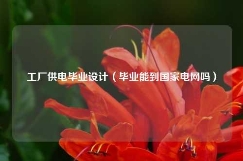 工厂供电毕业设计（毕业能到国家电网吗）