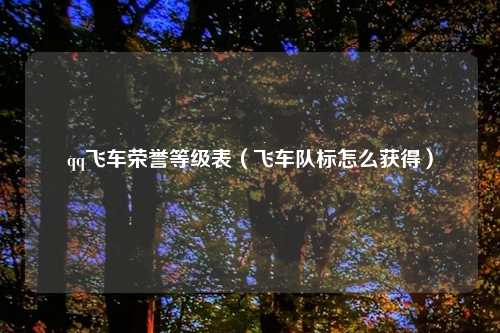 qq飞车荣誉等级表（飞车队标怎么获得）