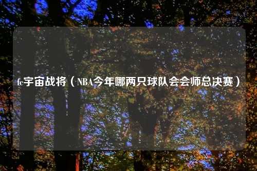 fc宇宙战将（NBA今年哪两只球队会会师总决赛）