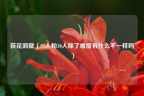 荻花洞窟（25人和10人除了难度有什么不一样吗）