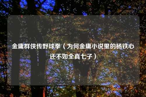 金庸群侠传野球拳（为何金庸小说里的杨铁心还不如全真七子）