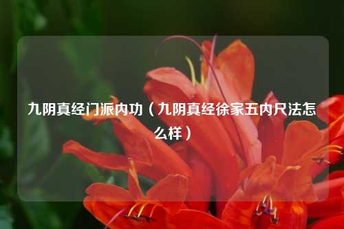 九阴真经门派内功（九阴真经徐家五内尺法怎么样）