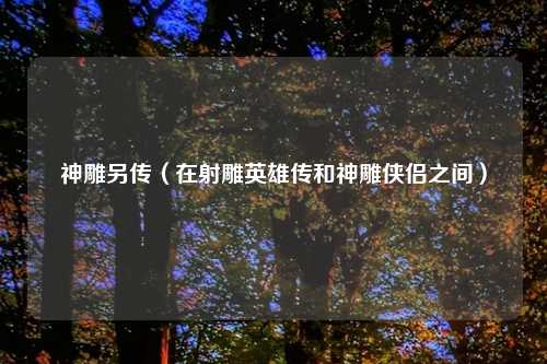 神雕另传（在射雕英雄传和神雕侠侣之间）