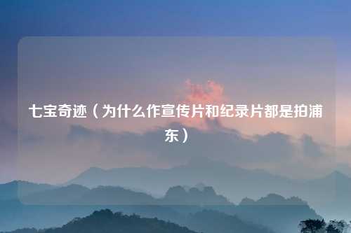 七宝奇迹（为什么作宣传片和纪录片都是拍浦东）