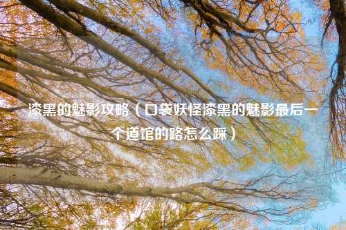 漆黑的魅影攻略（口袋妖怪漆黑的魅影最后一个道馆的路怎么踩）