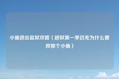 小偷逃出监狱攻略（越狱第一季迈克为什么要救那个小偷）