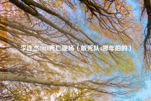 李连杰2021死亡现场(敢死队4哪年拍的)