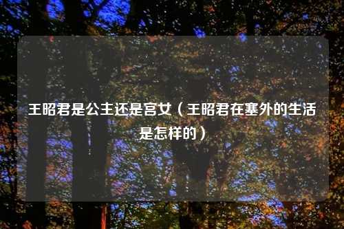 王昭君是公主还是宫女(王昭君在塞外的生活是怎样的)