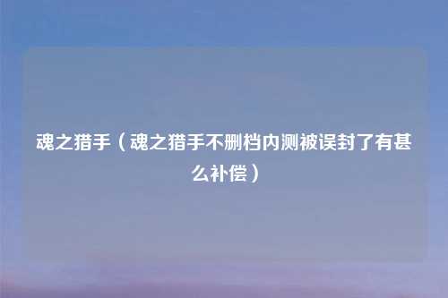 魂之猎手（魂之猎手不删档内测被误封了有甚么补偿）