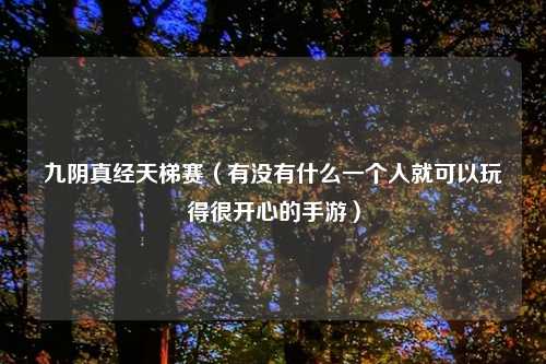 九阴真经天梯赛（有没有什么一个人就可以玩得很开心的手游）