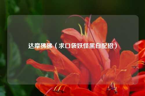 达摩狒狒（求口袋妖怪黑白配招）