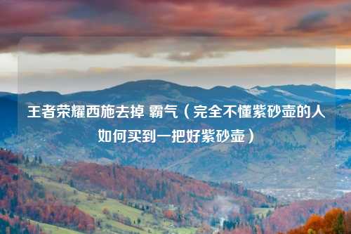 王者荣耀西施去掉 霸气（完全不懂紫砂壶的人如何买到一把好紫砂壶）