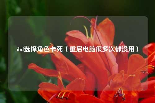 dnf选择角色卡死（重启电脑很多次都没用）