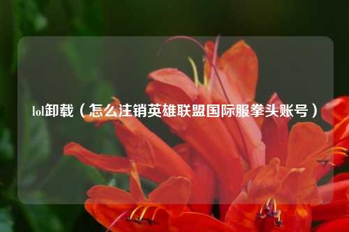 lol卸载（怎么注销英雄联盟国际服拳头账号）