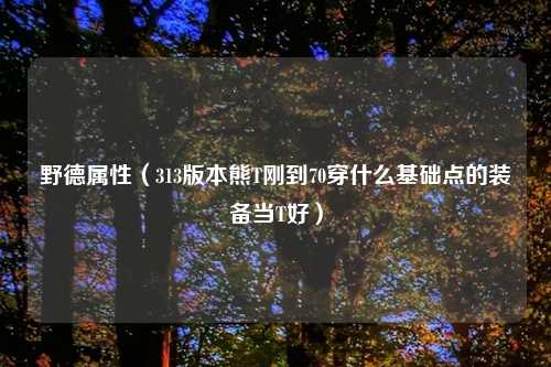 野德属性（313版本熊T刚到70穿什么基础点的装备当T好）