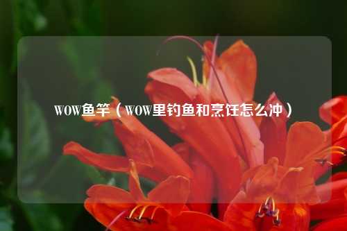 WOW鱼竿（WOW里钓鱼和烹饪怎么冲）