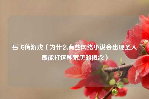 岳飞传游戏（为什么有些网络小说会出现圣人最能打这种荒唐的概念）