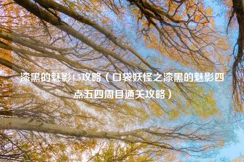 漆黑的魅影4.5攻略（口袋妖怪之漆黑的魅影四点五四周目通关攻略）