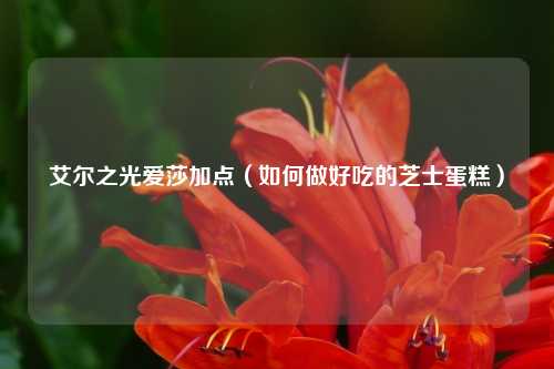 艾尔之光爱莎加点（如何做好吃的芝士蛋糕）