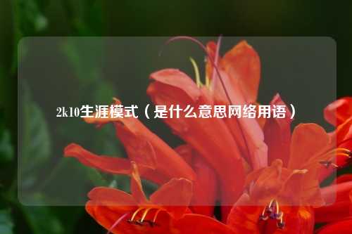 2k10生涯模式（是什么意思网络用语）
