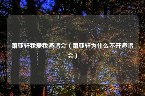 萧亚轩我爱我演唱会(萧亚轩为什么不开演唱会)