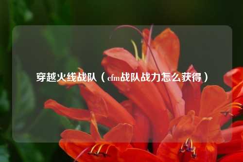 穿越火线战队（cfm战队战力怎么获得）