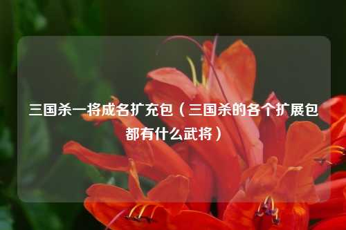 三国杀一将成名扩充包(三国杀的各个扩展包都有什么武将)