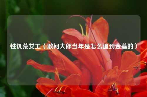 性饥荒女工(敢问大郎当年是怎么追到金莲的)