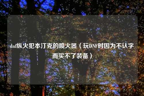 dnf纵火犯本汀克的喷火器（玩DNF时因为不认字而买不了装备）