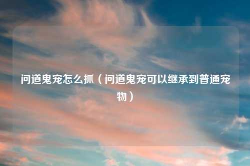 问道鬼宠怎么抓（问道鬼宠可以继承到普通宠物）