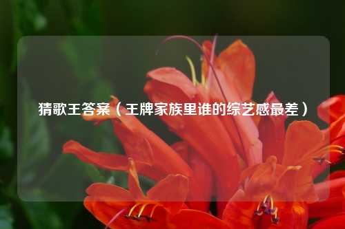 猜歌王答案（王牌家族里谁的综艺感最差）