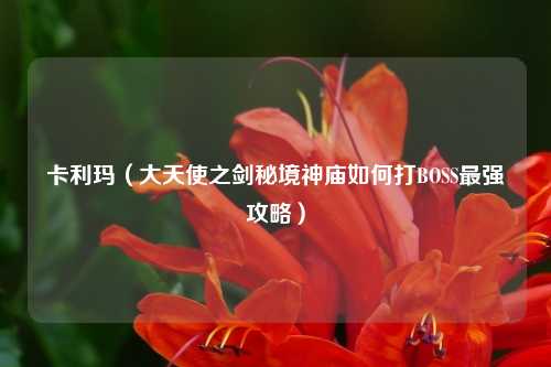 卡利玛（大天使之剑秘境神庙如何打BOSS最强攻略）