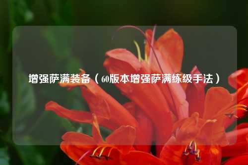 增强萨满装备（60版本增强萨满练级手法）