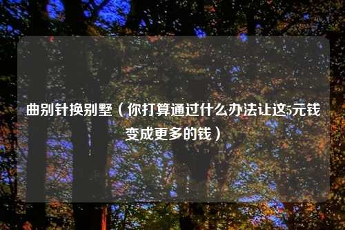曲别针换别墅（你打算通过什么办法让这5元钱变成更多的钱）