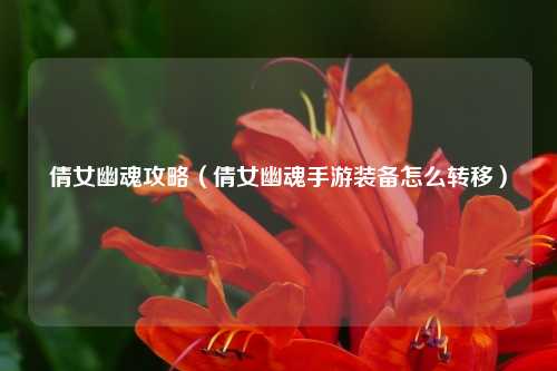 倩女幽魂攻略（倩女幽魂手游装备怎么转移）